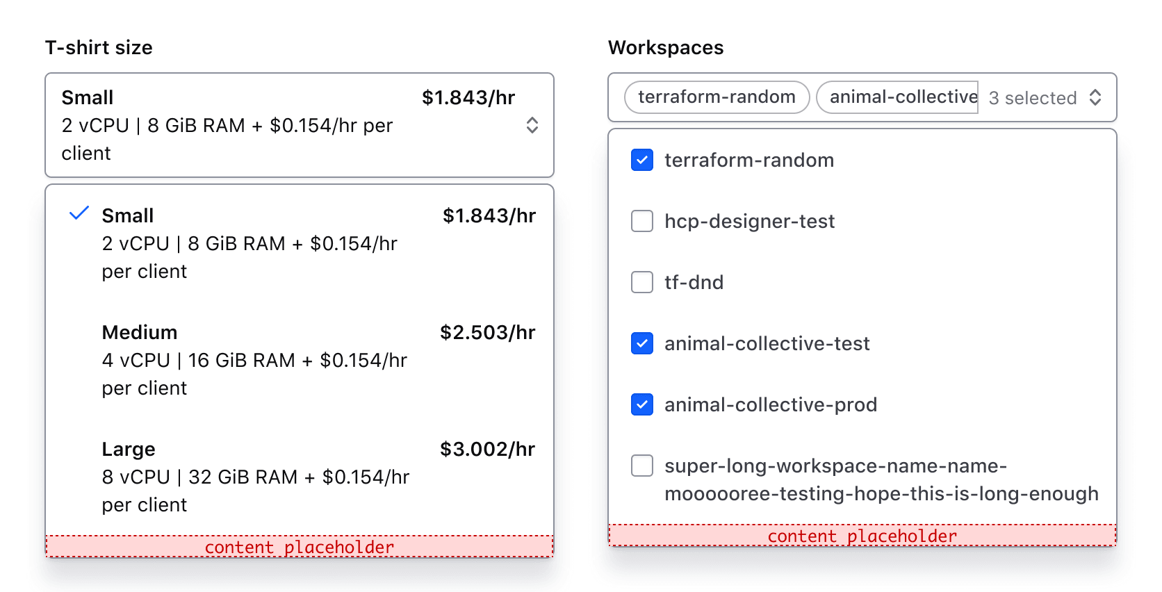 Showing the afterOptions slot with generic content